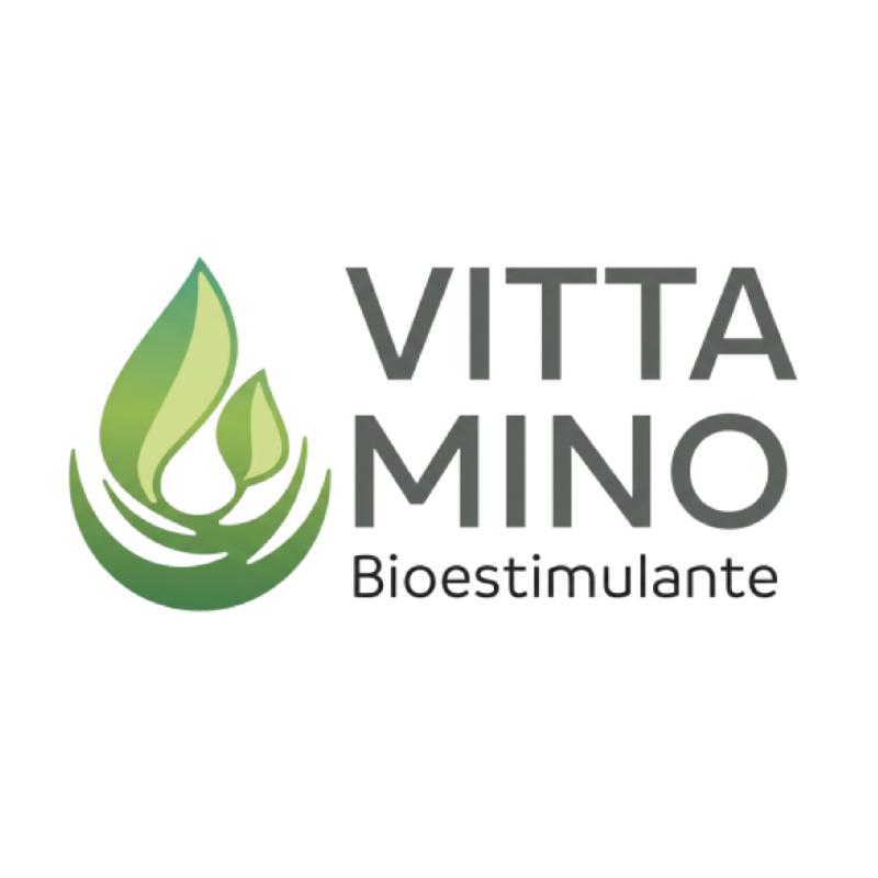 VittaMino